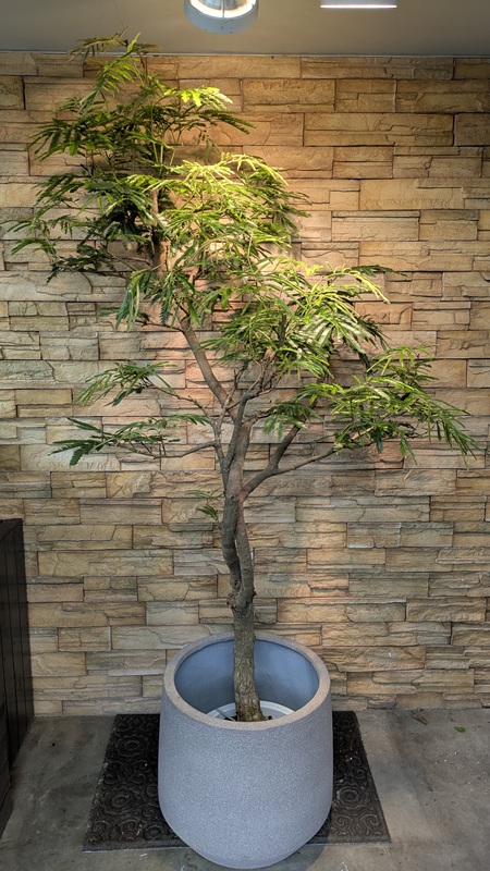 エバーフレッシュA977